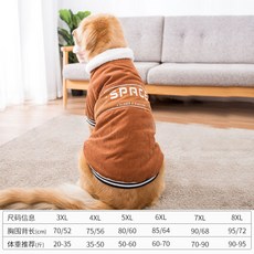 강아지몽클레어