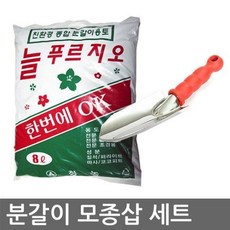 몬스테라흙