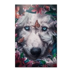 두꺼비집가리개고래