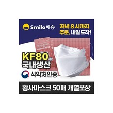 크린숨 플러스 황사마스크 KF80 개별포장 50매, 50개