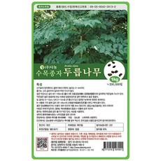 두릅나무나무두릅씨앗 1kg, 없음, 상세설명 참조