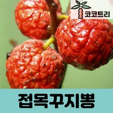 98ffdc5b45be2d2c230430eac1af93f621b82074caef86098e80f07136fb.jpg