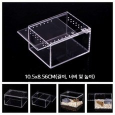 렙티쥬 비바리움 파충류 파노라마 테라리움 키우기 사육장, A.미니 10.5x8.5x6, 1개