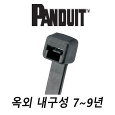 팬듀이트