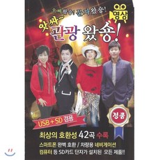 cd영상