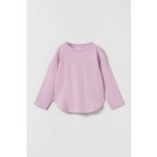 자라키즈캐리어