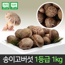 송이고버섯 1등급 1kg /당일수확/생산자 발송, 1개