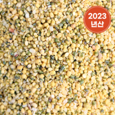 수입 깐녹두 녹두 거피녹두, 2개, 1kg