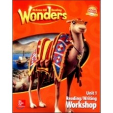 wonders3.1