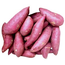 맛통령 베니하루카 꿀고구마, 꿀고구마 (특상) 2kg, 1개