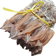 동해안 속초 당일바리 건 오징어 마른 햇 오징어 10마리, 1개, 속초 당일바리 햇 오징어 200g