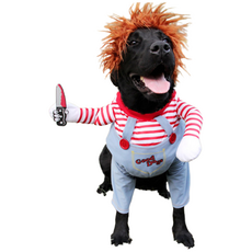 DING DONG PET 犬用恰吉裝扮套裝 S號, 混色