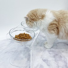 lingPet 壓克力高架寵物飼料碗, 1組