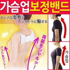가슴업보정