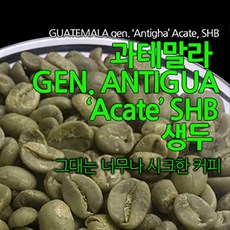 필더컵 과테말라 GEN Antigua Acate SHB 생두, 원두, 500g x 1개, 500g, 1개