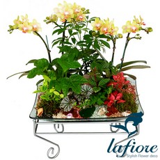 5eb35aa0-c9e9-46c3-afb6-26f4b72b53f9.jpg