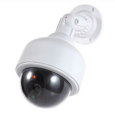 그릴전방카메라모형