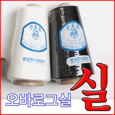 오로라입실론겨울
