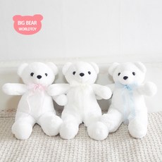 곰신곰냥