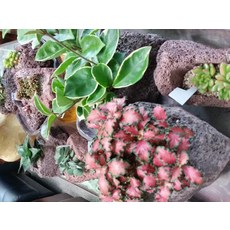 6c4b55e3-ead1-42ef-ab68-e88d02650ae6.jpg