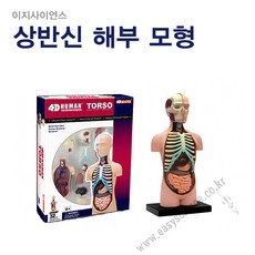 950afd10-875b-4055-ac1e-ab5529c510b8.jpg