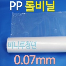 비니루청년