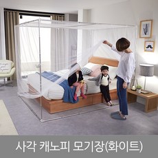 bc1b9b77-ca5e-4f38-a814-9ee2e50e7960.jpg