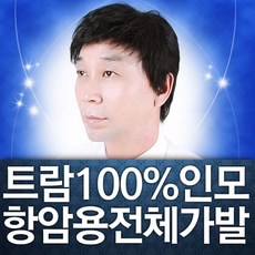 남자항암가발