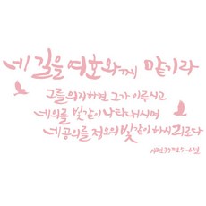 노아데코벽지