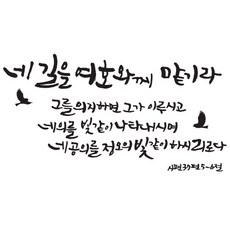 노아데코벽지