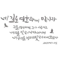 노아데코벽지