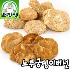 노루궁뎅이버섯 500g, 1개, 국내산 노루궁뎅이버섯500g