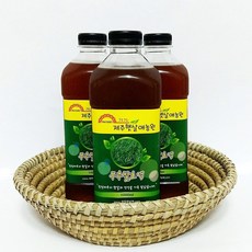 제주햇살애농원 부추발효액 3000ml