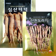 미래종묘 채소씨앗, 45심산더덕, 1