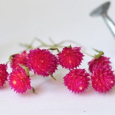 홍대플라워바이네이키드pkg