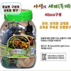 야생의세계특대