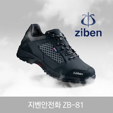 zb06-25b