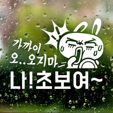 cam신생아카시트