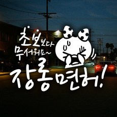 자동차운전전문강사