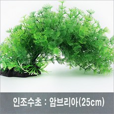 PRFISH 암브리아, 1개, 대 (27cm), 1개