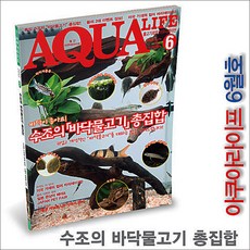 코엑스아쿠아리움오후권