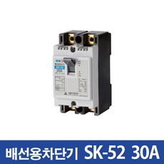 서울산전 산업용 배선차단기 SK-52 30A, 1개, 1개