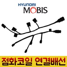 소나타코일배선