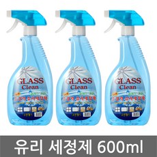 대영 초특가 업소용 유리세정제 600ml 워셔액, 600g, 1개