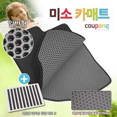 //상품명
