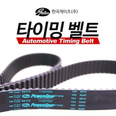 뉴스포티지타이밍벨트