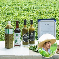 어성초액 추천 1등 제품
