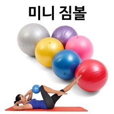 위시 미니짐볼(실버)30cm + 손펌프