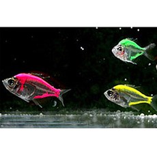1aabbef7-8282-4203-bb8d-28b8f7119db8.jpg