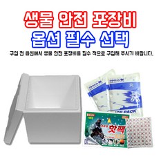 360a9295-aabe-4cb5-9db8-a609a97f2e51.jpg